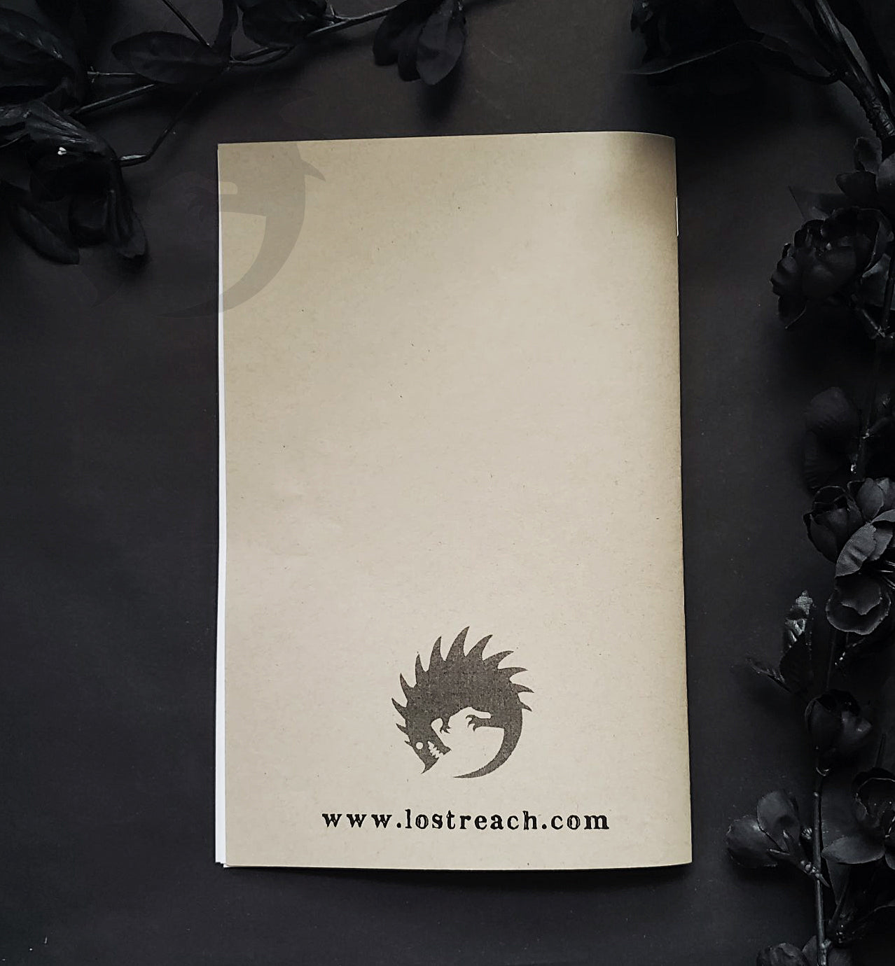 Vulture Culture Zine